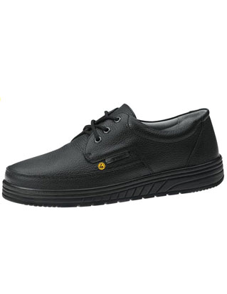 ESD Safety Shoes